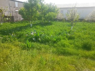 Продаётся земля. 4 сотик