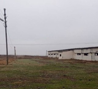 Арендага ферма берилади викуп, бартер, бўлиб тўлаш имкони бор тошкенда