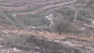 מיליציות מתנחלים בישראל תוקפות חקלאים פלסטינים וגונבות את מסיק הזיתים שלהם ליד העיירה סאיר במחוז חברון בדרו…