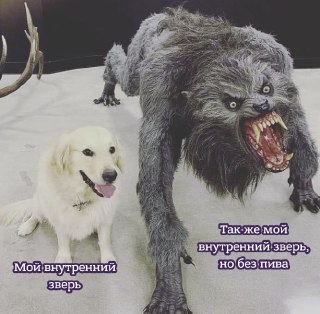 Пройдите тест и узнайте, какой ваш  внутренний монстр: https://lentach.media/OUXdd