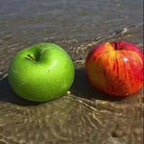 aikaCOS🍎🍀