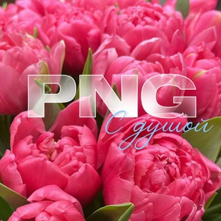 PNG FOR STORY Telegram Group Link