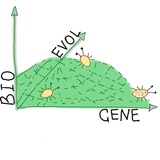 БиоЭволГен | BioEvolGene