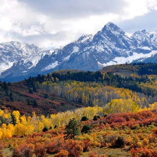 Colorado News🇺🇸Arizona🇺🇸California🇺🇸Texas Telegram Group Link