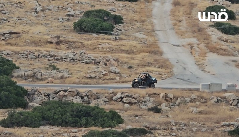 מתנחלים רועים את פרותיהם ועורכים סיורים פרובוקטיביים בסביבת ירזה, מזרחית לכפר תייסיר, מזרחית לטובאס.