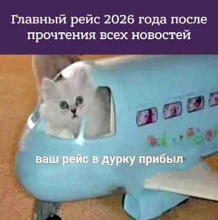 Задержали или отменили авиарейс? Держите инструкцию, как обменять билет, вернуть деньги или получить компенсацию: https://lentach.media/VjisG