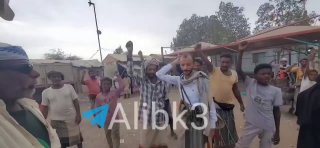 ספיר ליפקין