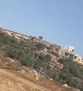 مستوطنون يحرثون أراضي زيتون فلسطينية في الخليل