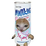 Randy_Milk