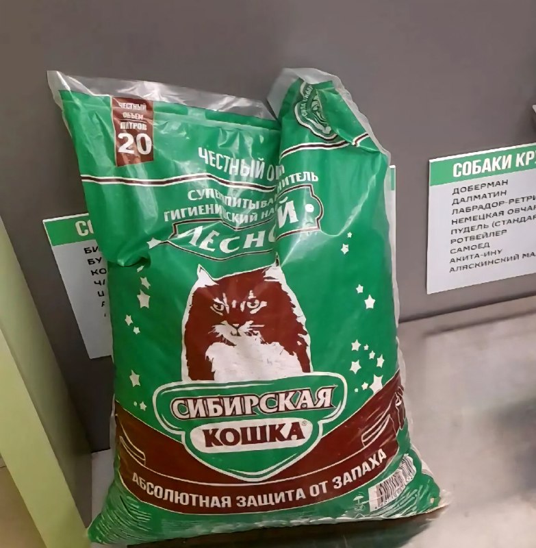 В минувшую субботу мы вновь приняли участие в...