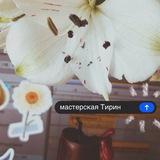 ‘ ♬ мастерская Тирин
