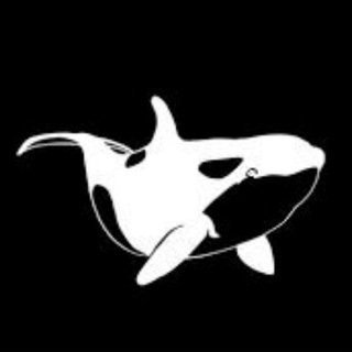 Whales Signals Telegram channel profile photo
