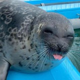 ;P