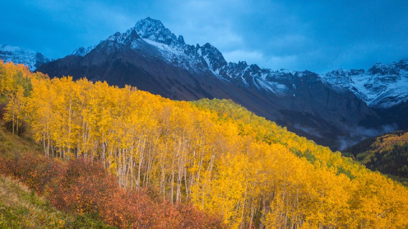 Golden fall glowFall colors below Mount Sneffels near Ridgway, Colorado (© Grant Ordelheide/TANDEM Stills + Motion)