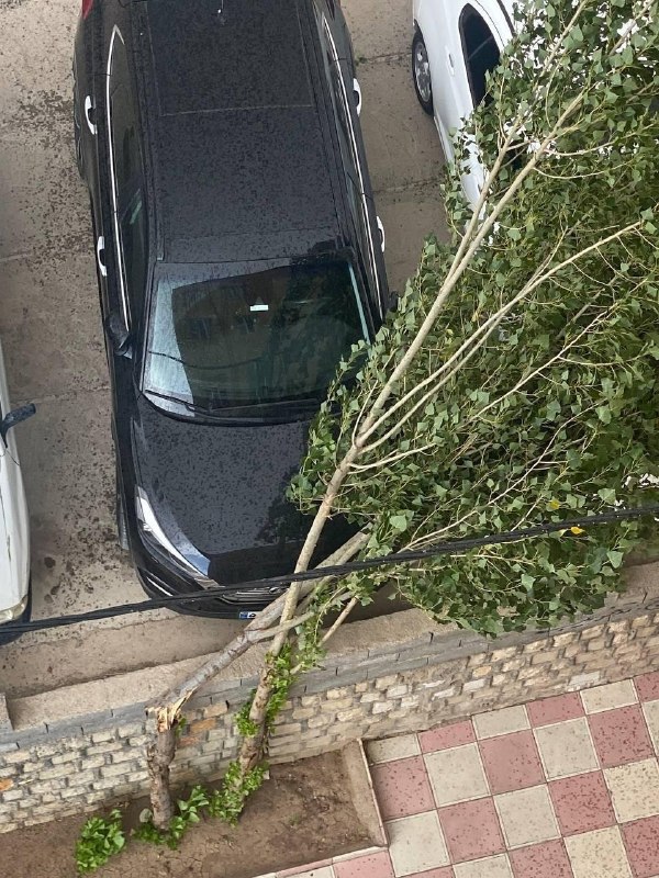 هواشناسی شهرهای کوردنشین: 🗓۱۴۰۵/۰۶/۰۸هوای طوفانی با باران در جوانرود⭐️ هواشناسی شهرهای کوردنشین⛳️ @kurd_hava🗓۱۴۰۵/۰۶/۰۸هوای طوفانی با باران در جوا