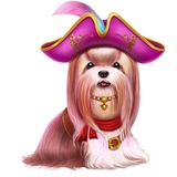 casino milfa