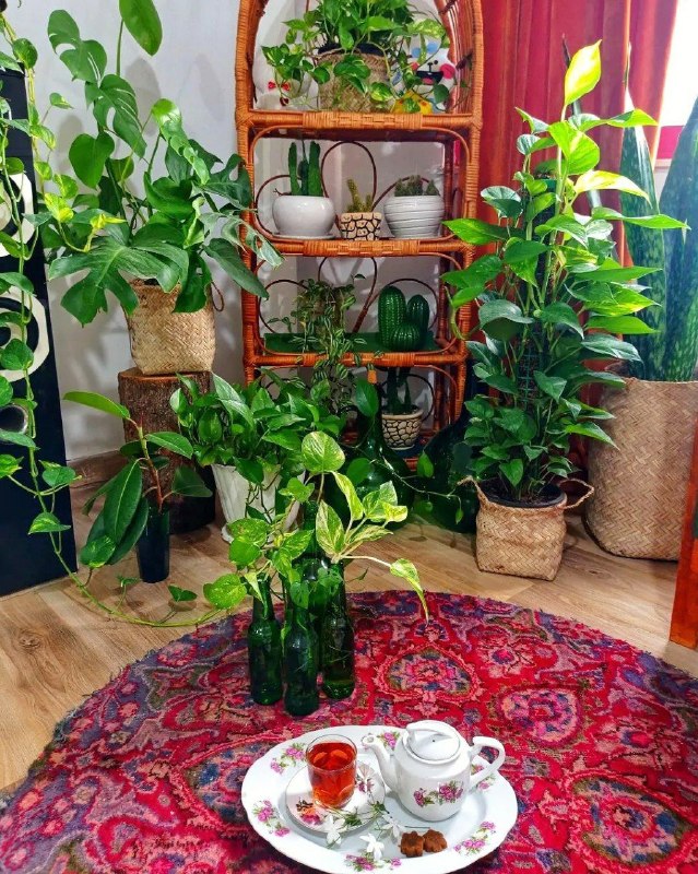 🌹👌سخنان ناب و پند آموز👌🌹: هر آدمی یک ظرفیتی دارد.بعضی ها زیاد ، بعضی ها کم!بسته به تحملشان . . .می جنگند ، می سوزند ، می سازند ، می بخشند ...اما ا