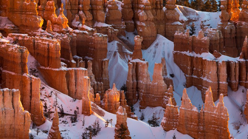 峡谷的守护者布莱斯峡谷国家公园，犹他州，美国 (© Jim Patterson/Tandem Stills + Motion)