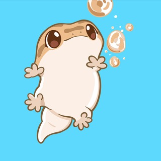 Baby Fish 娃娃鱼中文群