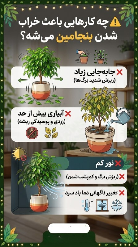 💚🏡 گلخانه آپارتمانی 🏡💚: ⚠️ چه کارهایی باعث خراب شدن #یوکا میشه؟❌ جابهجایی زیاد (ریزش شدید برگها)❌ آبیاری بیش از حد (زردی و پوسیدگی ریشه)❌ نور