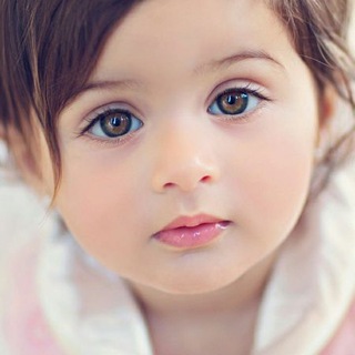 ☞ Twitter 🌙 Telegram Group Link