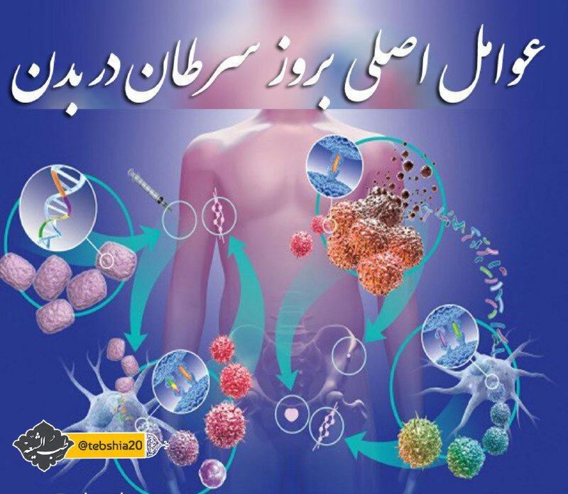 🍀 طب ائمه (درمانگاه سنتی)☘️: #سرطان✴️•⇦ عوامل اصلی بروز سرطان ↯🔺غذاهای مانده▫️اضافه وزن مفرط▫️ادکلن‌ های شیمیایی▫️ترانس چربی بالا▫️روغن صنعتی▫️مصرف د