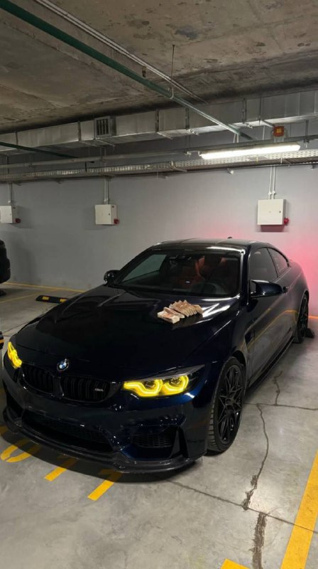 https://t.me/bmw_mpower_club