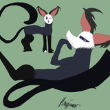 Sinitsyna's Shadow | The Mad Artist