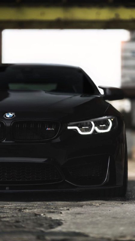 https://t.me/bmw_mpower_club