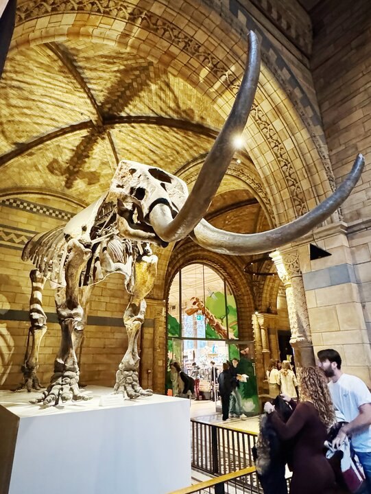 北歐以北 | 冷岸，冰與火之地(北歐五國+英國)