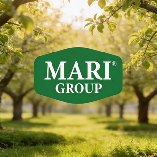 Marigroup.uz
