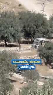 מתנחל מכוון את נשקו לעבר ילדים בח'לת אל-נאטש, דרומית לחברון.