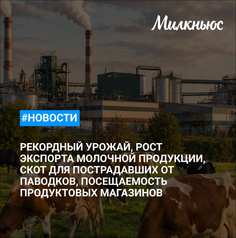 Мишустин: за 2025 год собран рекордный урожай