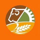 ТЫВА СЕЛЬХОЗРЫНОК
