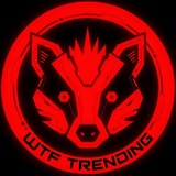 WTF Trending