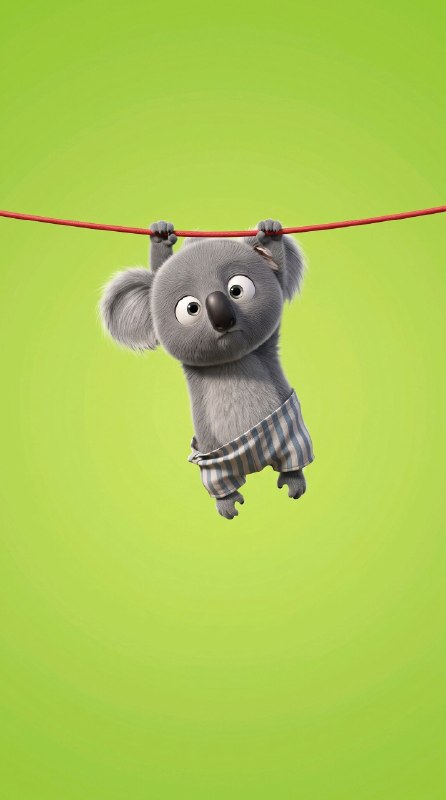 محافظ پاندا: 💚🐨• #WALL( @ipandaam)