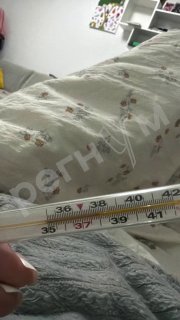מוסקובית אושפזה לאחר שחזרה מחופשה עם חום ופריחה בכל גופה. כפי שדיווח שירות העיתונות של רוספוטרבנדזור ב-26 ב…
