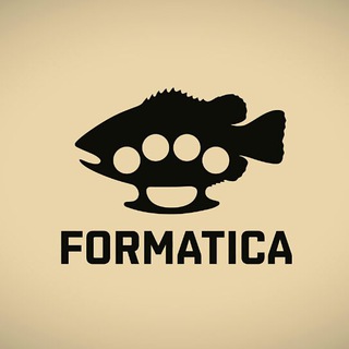 Formatica (18+) — Образование