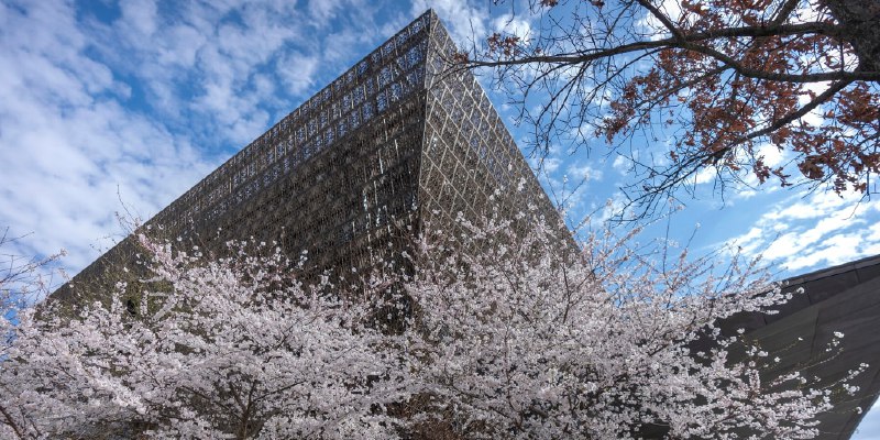 Prominent pastor notified books loaned to African American museum may be returned amid review