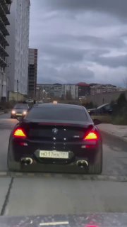 https://t.me/bmw_mpower_club