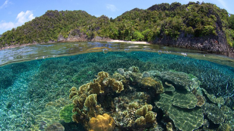 Small footprint, big impactCoral reef and beach in Raja Ampat, Indonesia (© SergeUWPhoto/Shutterstock)