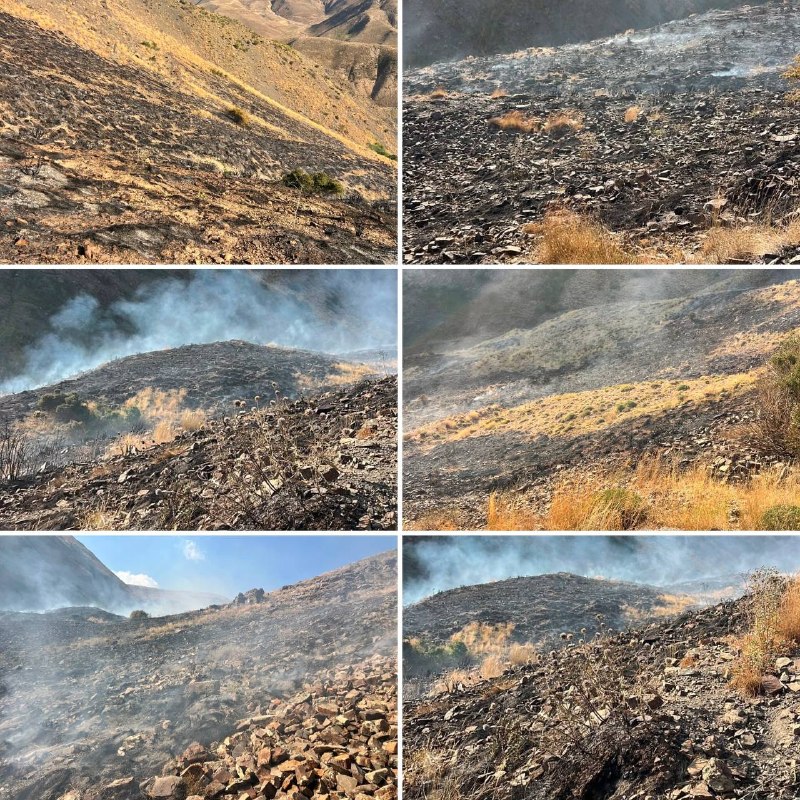 پایگاه خبری تارود: 🎥مهار آتش‌سوزی در ۸ هکتار از مراتع روستای هویر دماوند🔹آتش‌سوزی در مراتع منطقه «چال‌گهره» واقع در روستای هویر با اقدام جه