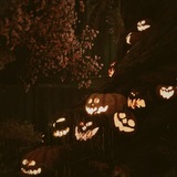 //др 6 окт.//{рест}_𝘼𝙡ь𝙫𝙚𝙧~{🎃}