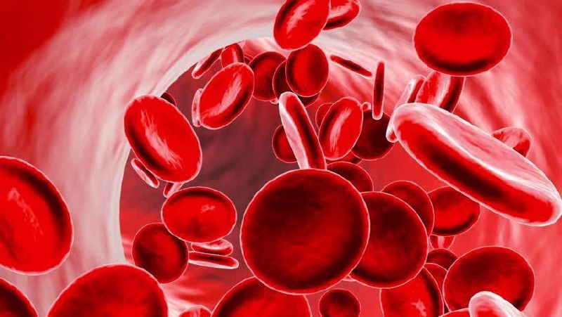 ♥طب سنتی با دلنوشته ♥: از هر سه زن باردار، یک نفر دچار کم خونی خفیف می شود. علائم آن عبارتند از:💠 رنگ پریدگی💠 خستگی💠 زبان دردناک💠 خستگی غیر معم