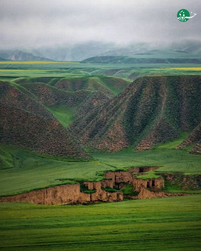خبرفوری: 📷طبیعت زیبای ترکمن صحرا، گلستان#اخبار_گلستان در فضای مجازی 👇@AkhbareGolestan