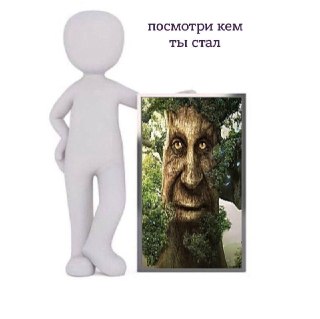 Зачем Китай уже полвека строит «Великую зеленую стену» и что показало новое исследование о росте деревьев: https://lentach.media/f42sF