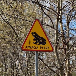 Домброва-Гурніча🇺🇦