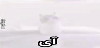 בחריין