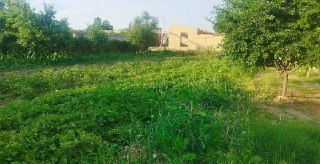 Продается дом 18 соток. Uy sotiladi. Parkent tumani
В Ташкентский обла