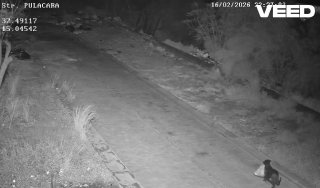 В Италии мужчина обучил свою собаку выбрасывать мешки с мусором на обочину, чтобы избежать штрафов за выброс отходов в неположенном месте, сообщает полиция сицилийского города Катания.Полицейские опубликовали два видео с собакой, которая оставляет у дороги